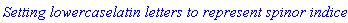 `Setting lowercaselatin letters to represent spinor indices `
