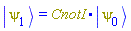 Physics:-Ket(psi[1]) = Physics:-`.`(CnotI, Physics:-Ket(psi[0]))