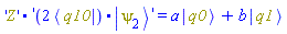 Physics:-`.`('Z', 'Physics:-`.`(Physics:-`*`(2, Physics:-Bra(q10)), Physics:-Ket(psi[2]))') = a*Physics:-Ket(q0)+b*Physics:-Ket(q1)