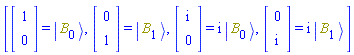 [Vector[column](%id = 18446744078301209294) = Physics:-Ket(B, 0), Vector[column](%id = 18446744078301209414) = Physics:-Ket(B, 1), Vector[column](%id = 18446744078376351494) = I*Physics:-Ket(B, 0), Vector[column](%id = 18446744078376351734) = I*Physics:-Ket(B, 1)]