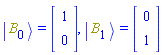 Physics:-Ket(B, 0) = Vector[column](%id = 18446744078301209294), Physics:-Ket(B, 1) = Vector[column](%id = 18446744078301209414)