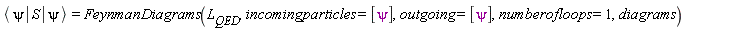 `#mfenced(mrow(mo("&InvisibleTimes;"),mi("&psi;",fontstyle = "normal"),mo("&InvisibleTimes;"),mo("&verbar;"),mo("&InvisibleTimes;"),mi("S"),mo("&InvisibleTimes;"),mo("&verbar;"),mo("&InvisibleTimes;"),mi("&psi;",fontstyle = "normal"),mo("&InvisibleTimes;")),open = "&lang;",close = "&rang;")` = FeynmanDiagrams(L__QED, incomingparticles = [psi], outgoing = [psi], numberofloops = 1, diagrams)