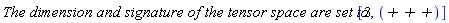`The dimension and signature of the tensor space are set to `[3, `+ + +`]