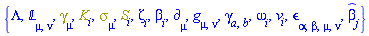 {Lambda, `&Lopf;`[mu, nu], Physics:-Dgamma[mu], K[i], Physics:-Psigma[mu], S[i], Zeta[i], beta[i], Physics:-d_[mu], Physics:-g_[mu, nu], Physics:-gamma_[a, b], omega[i], v[i], Physics:-LeviCivita[alpha, beta, mu, nu], `#mover(mi("&beta;",fontstyle = "normal"),mo("&circ;"))`[j]}