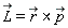 `#mover(mi("L"),mo("&rarr;"))` = `&x`(`#mover(mi("r"),mo("&rarr;"))`, `#mover(mi("p"),mo("&rarr;"))`)