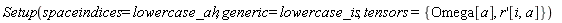 Setup(spaceindices = lowercase_ah, generic = lowercase_is, tensors = {Omega[a], (diff(r(x), x))[i, a]})