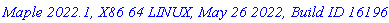 `Maple 2022.1, X86 64 LINUX, May 26 2022, Build ID 1619613`