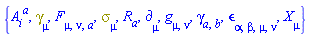{A[i, `~a`], Physics:-Dgamma[mu], F[mu, nu, a], Physics:-Psigma[mu], R[a], Physics:-d_[mu], Physics:-g_[mu, nu], Physics:-gamma_[a, b], Physics:-LeviCivita[alpha, beta, mu, nu], Physics:-SpaceTimeVector[mu](X)}