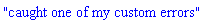 "caught one of my custom errors"