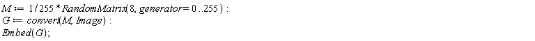 M := (1/255)*RandomMatrix(8, generator = 0 .. 255); G := convert(M, Image); Embed(G)